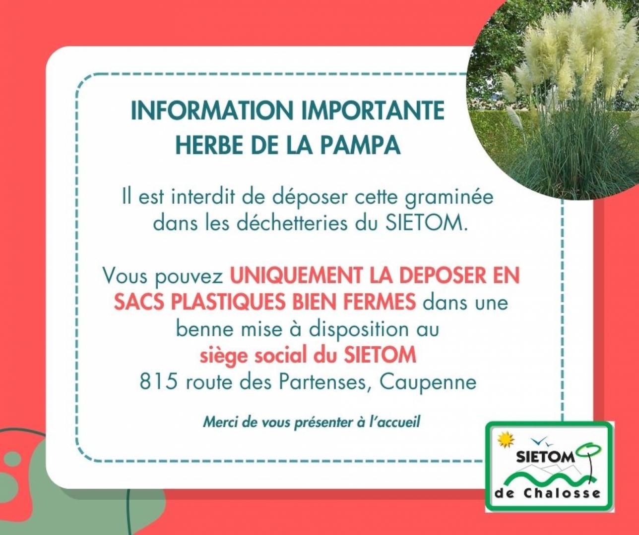 comment évacuer Herbe de la pampa